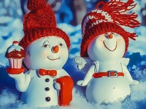 Snowy Partner Puzzle Challenge