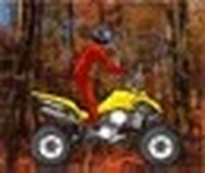 All-Terrain Vehicle Racing Challenge