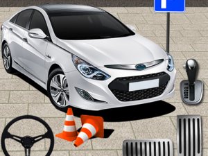 Advanced Car Parking Simulator
