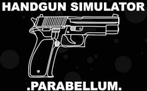 Focus Point: Accuracy Simulator