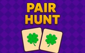 Recall Pairs: Brain Match Game