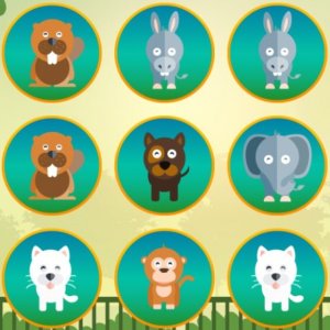 Animal Pairs Memory Game
