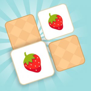 Picture Pair Recall Game