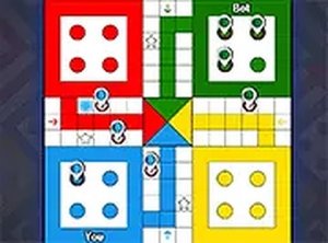 Family Ludo Race